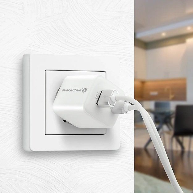 Зарядное устройство переменного тока everActive GaN SC-450Q с портами USB и USB-C PD PPS QC4+ мощностью 45 Вт.
