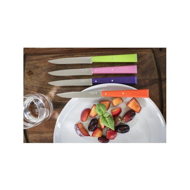 Stalo peilių rinkinys Opinel Pop Spirit