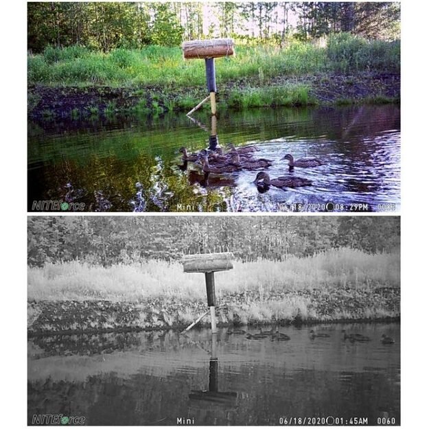 Камера наблюдения через телефон NITEforce Mini 20MP HD