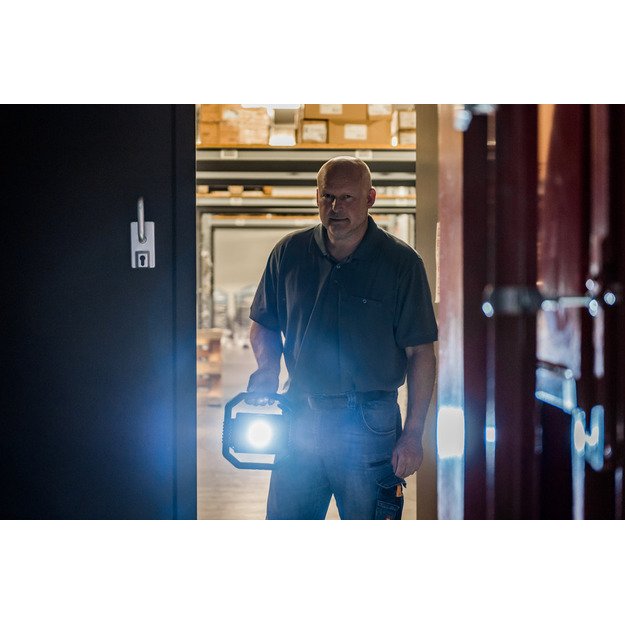 Brennestuhl prožektorius DARGO 3000lm, 30W