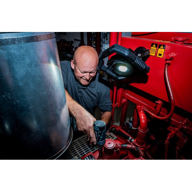 Brennestuhl prožektorius DARGO 3000lm, 30W