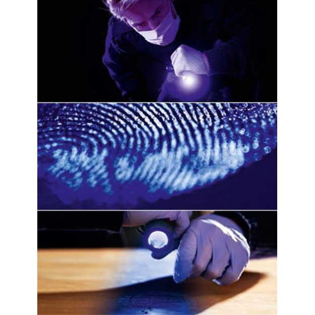 Ledlenser T7.2 BLUE mėlynos šviesos žibintuvėlis