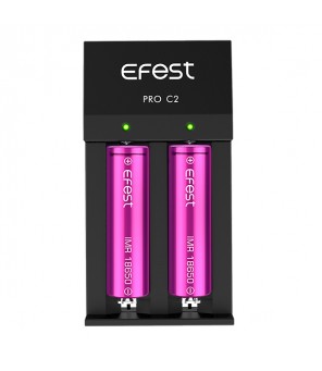Baterijų įkroviklis Efest Pro C2