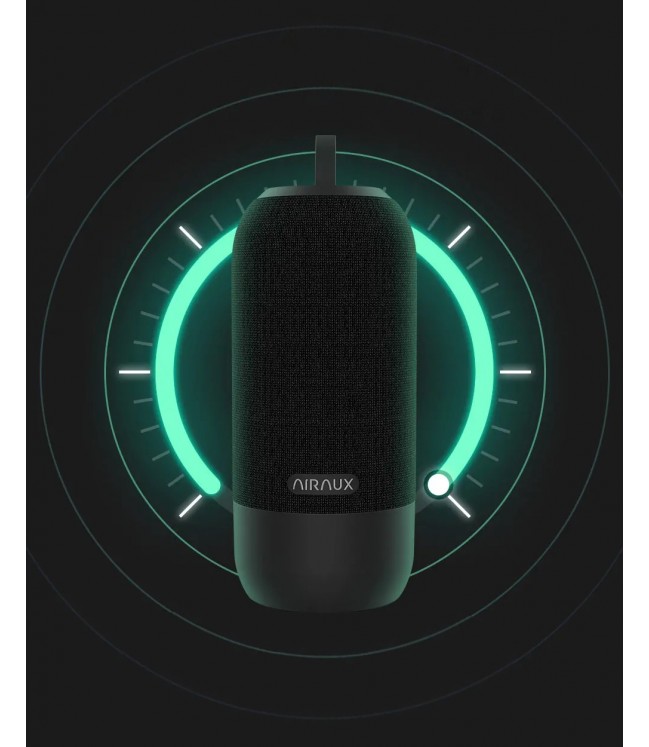 Беспроводная колонка Blitzwolf AIRAUX AA-WM1 Wireless Stereo Bass Speaker 10W bluetooth 5.0 IPX5 черный