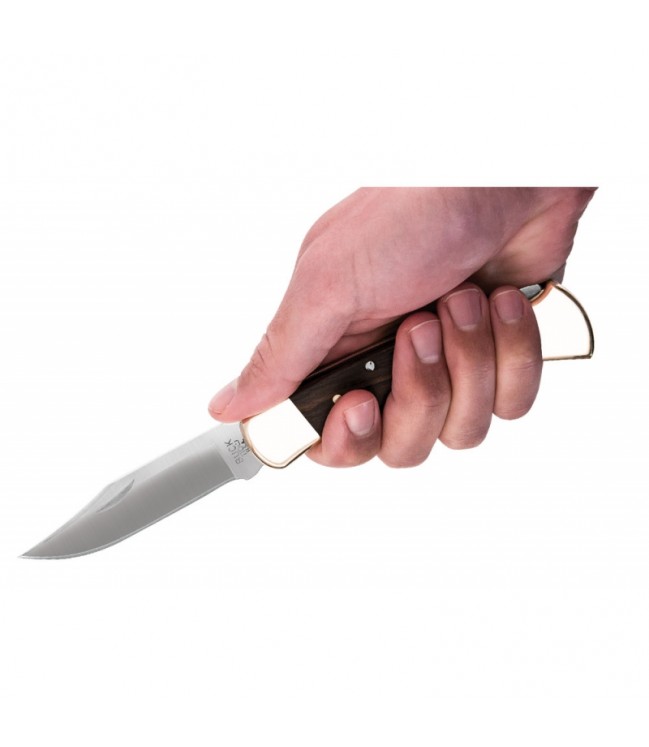 BUCK 110 Hunter folding knife