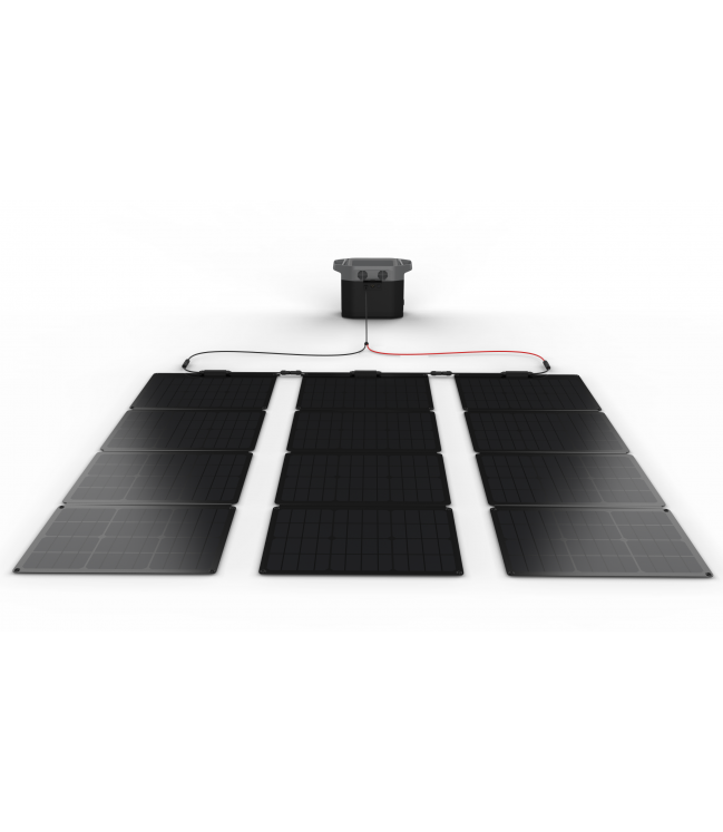 Портативная станция EcoFlow Delta 1300 + солнечные батареи 2шт x 110Вт