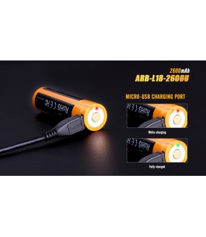 Fenix ARB-L18-2600U USB pakraunama 18650 baterija 