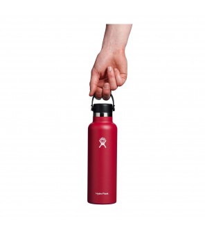 Дорожная бутылка Hydro Flask Standard с гибкой крышкой, 621 мл Goji S21SX612