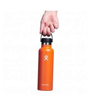 Hydro Flask Standard Flex Cap kelioninis buteliukas 621ml Mesa S21SX808