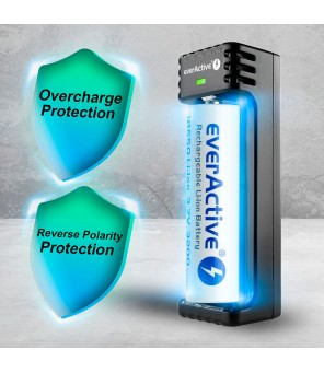 LC-100 baterijų USB įkroviklis Everactive
