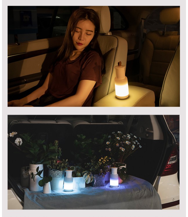 Лампа автомобильная Baseus Starlit Night (белая)