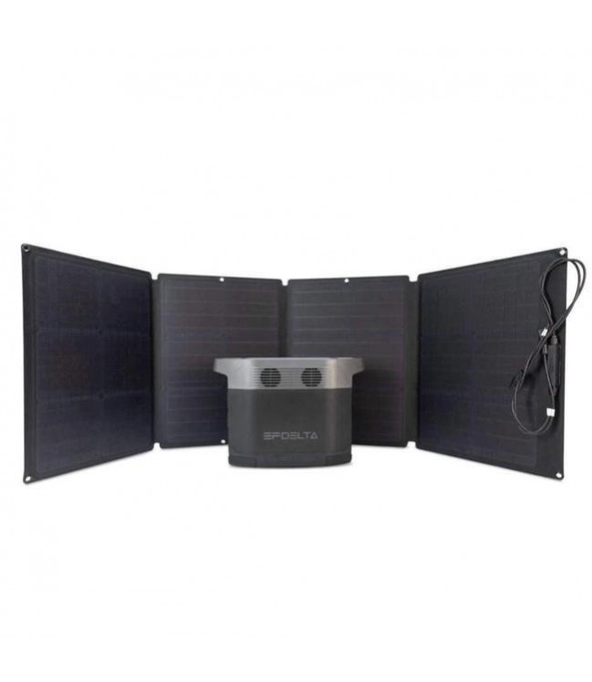 Nešiojama elektrinė EcoFlow Delta 1300 + 2vnt  x 110W saulės baterijos