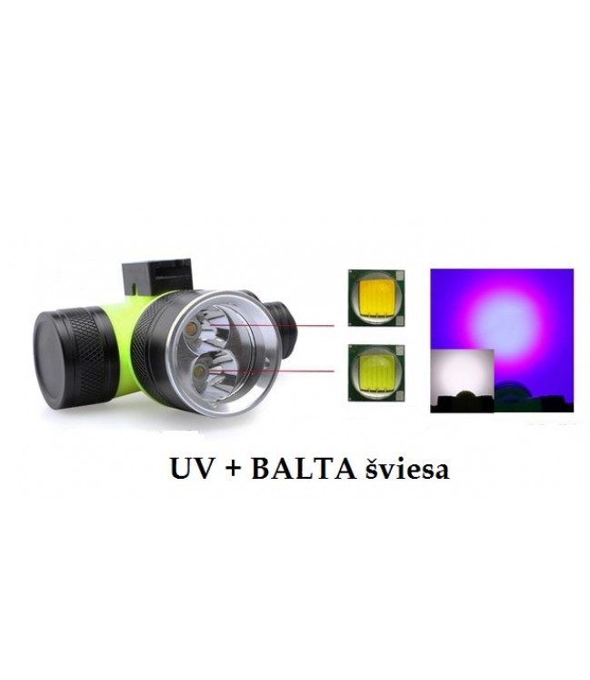 UV prožektorius nardymui su balta šviesa